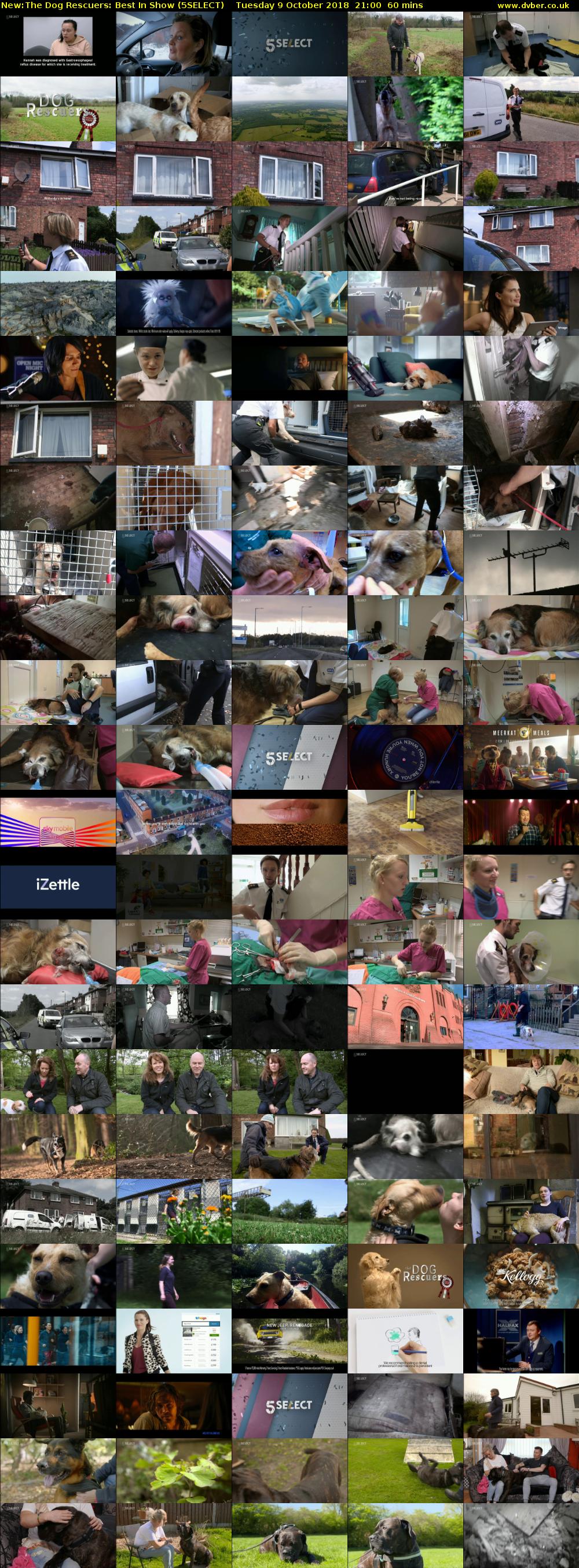 The Dog Rescuers: Best In Show (5SELECT) Tuesday 9 October 2018 21:00 - 22:00