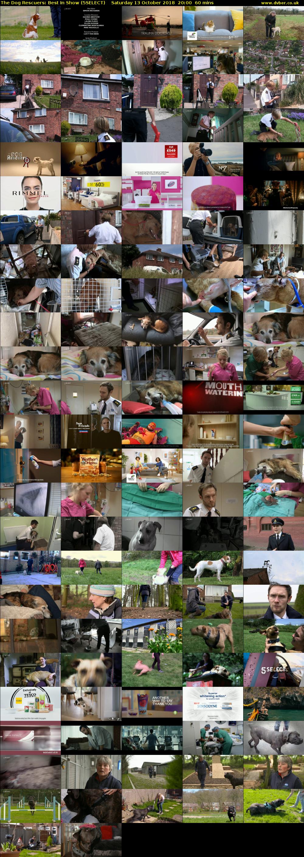 The Dog Rescuers: Best In Show (5SELECT) Saturday 13 October 2018 20:00 - 21:00