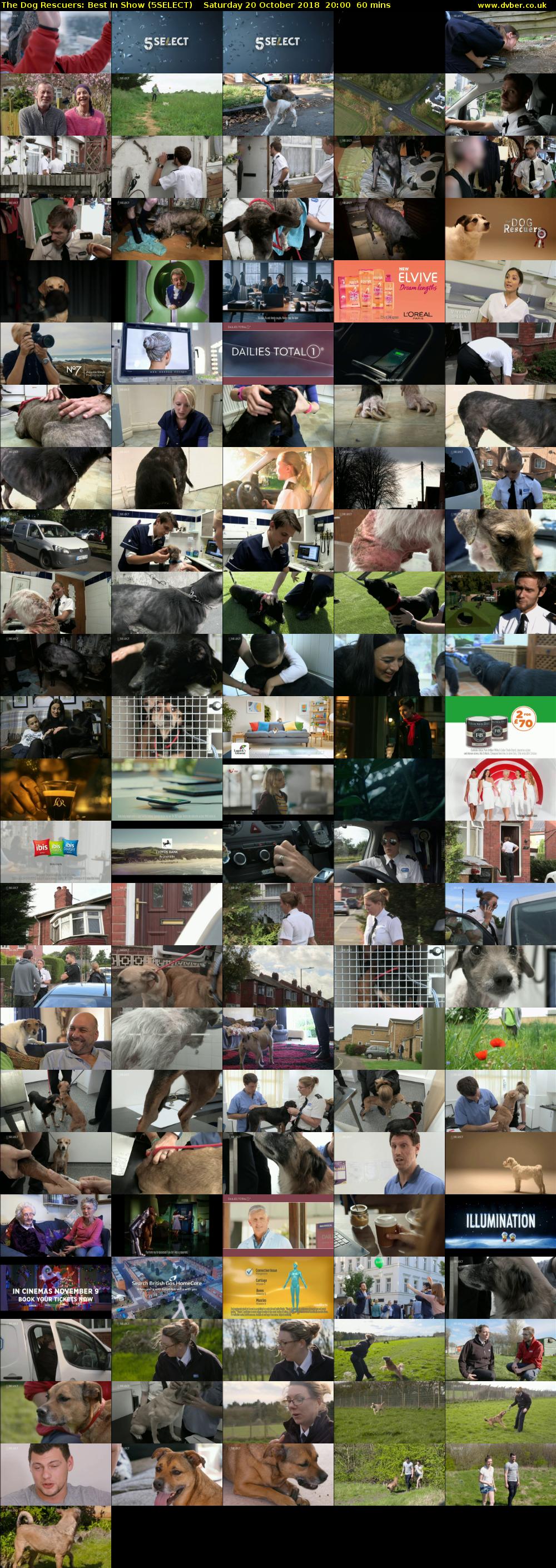 The Dog Rescuers: Best In Show (5SELECT) Saturday 20 October 2018 20:00 - 21:00