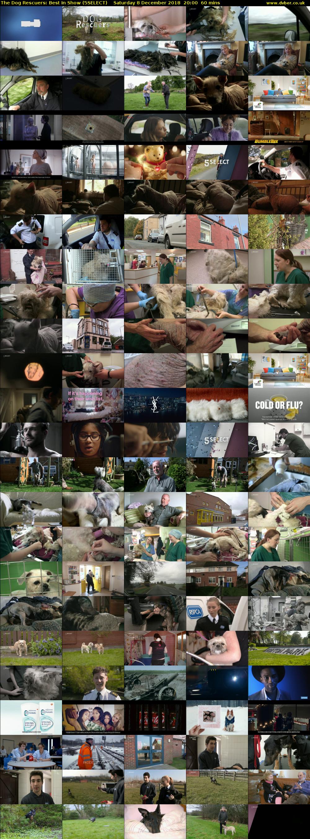 The Dog Rescuers: Best In Show (5SELECT) Saturday 8 December 2018 20:00 - 21:00