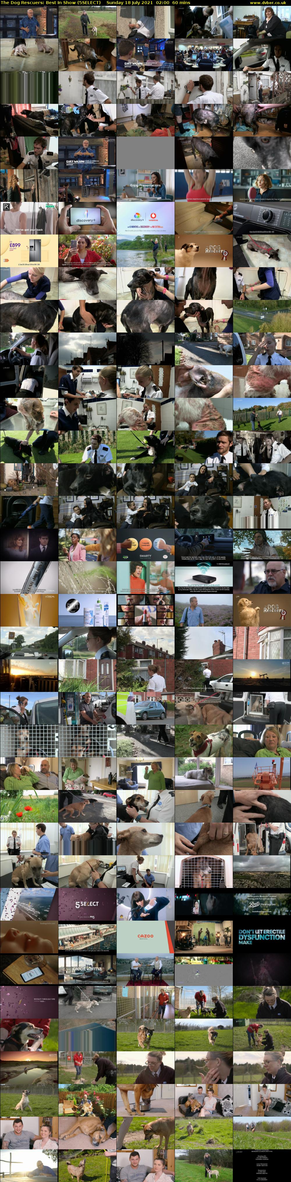 The Dog Rescuers: Best In Show (5SELECT) Sunday 18 July 2021 02:00 - 03:00