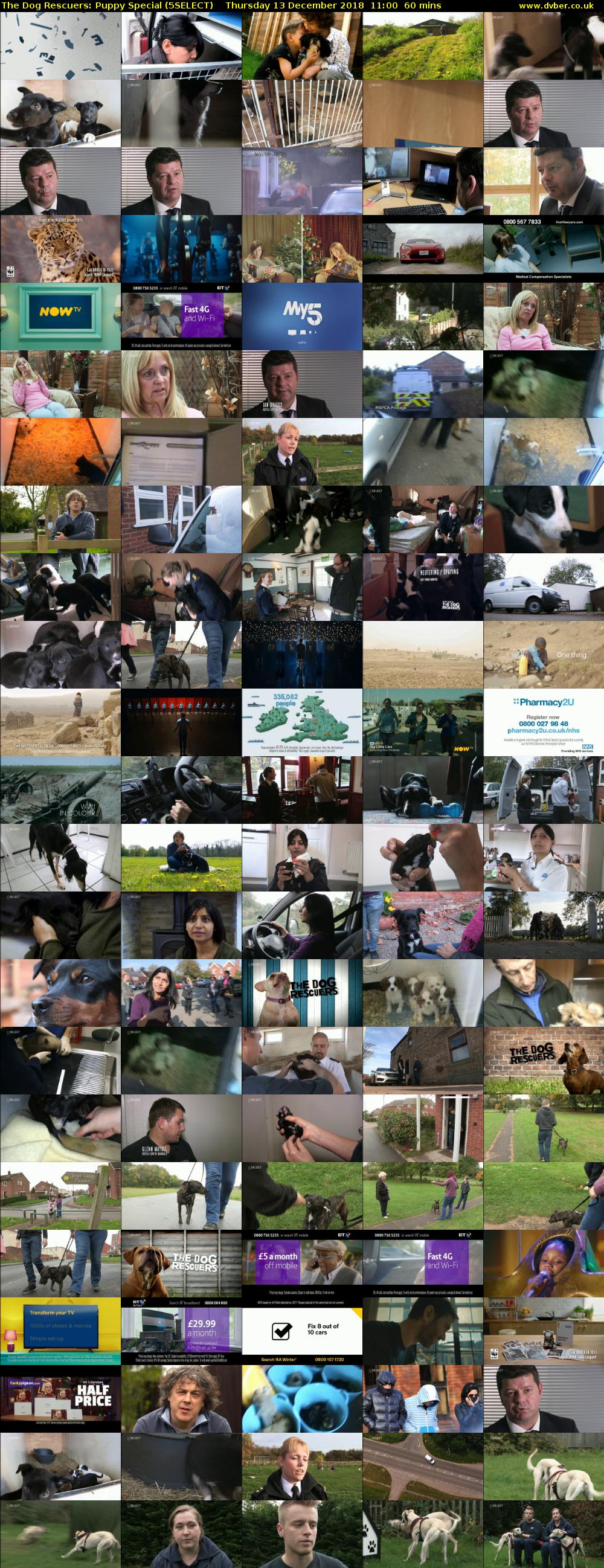 The Dog Rescuers: Puppy Special (5SELECT) Thursday 13 December 2018 11:00 - 12:00