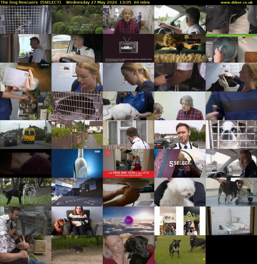 The Dog Rescuers  (5SELECT) Wednesday 27 May 2020 13:05 - 14:05