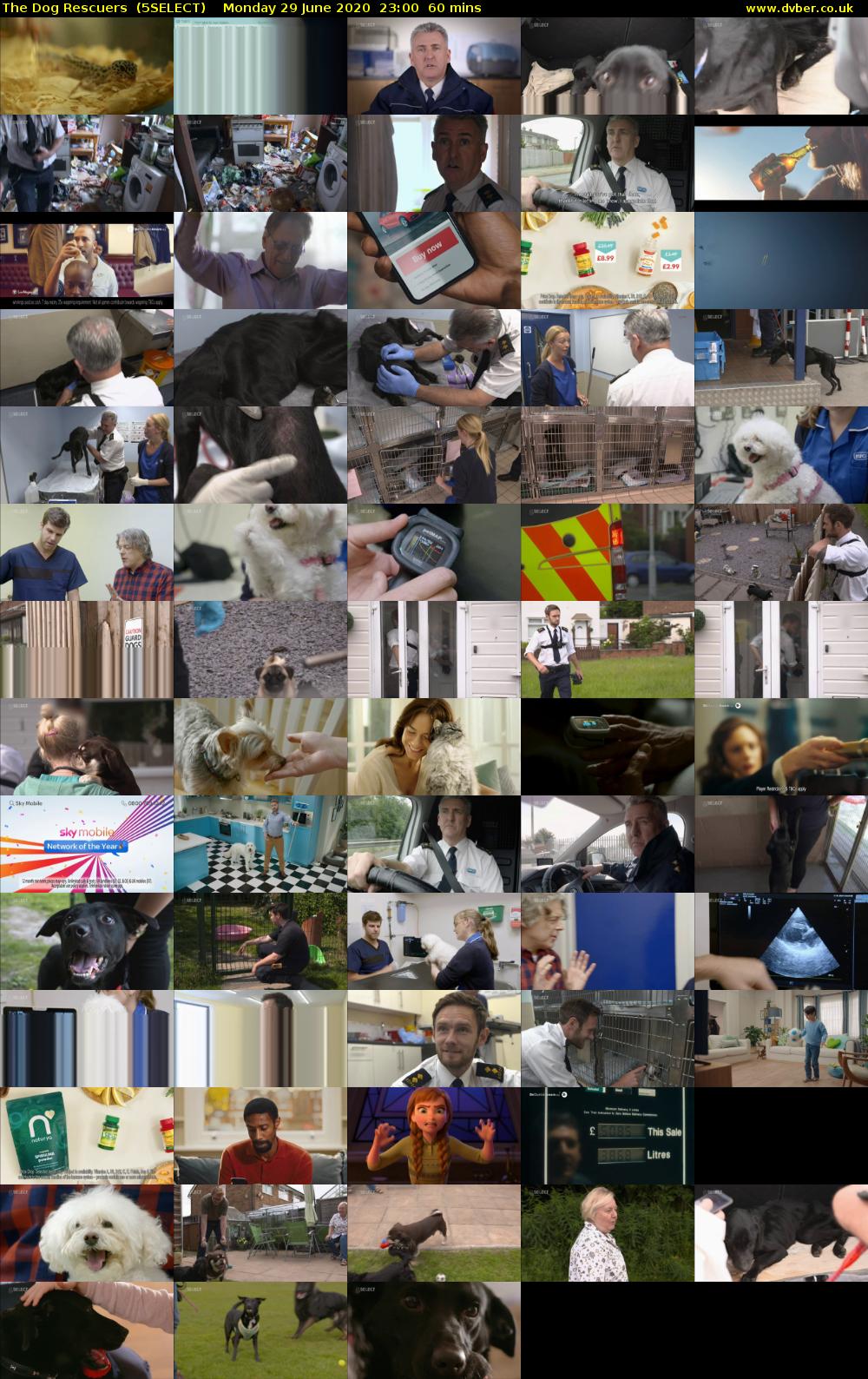 The Dog Rescuers  (5SELECT) Monday 29 June 2020 23:00 - 00:00