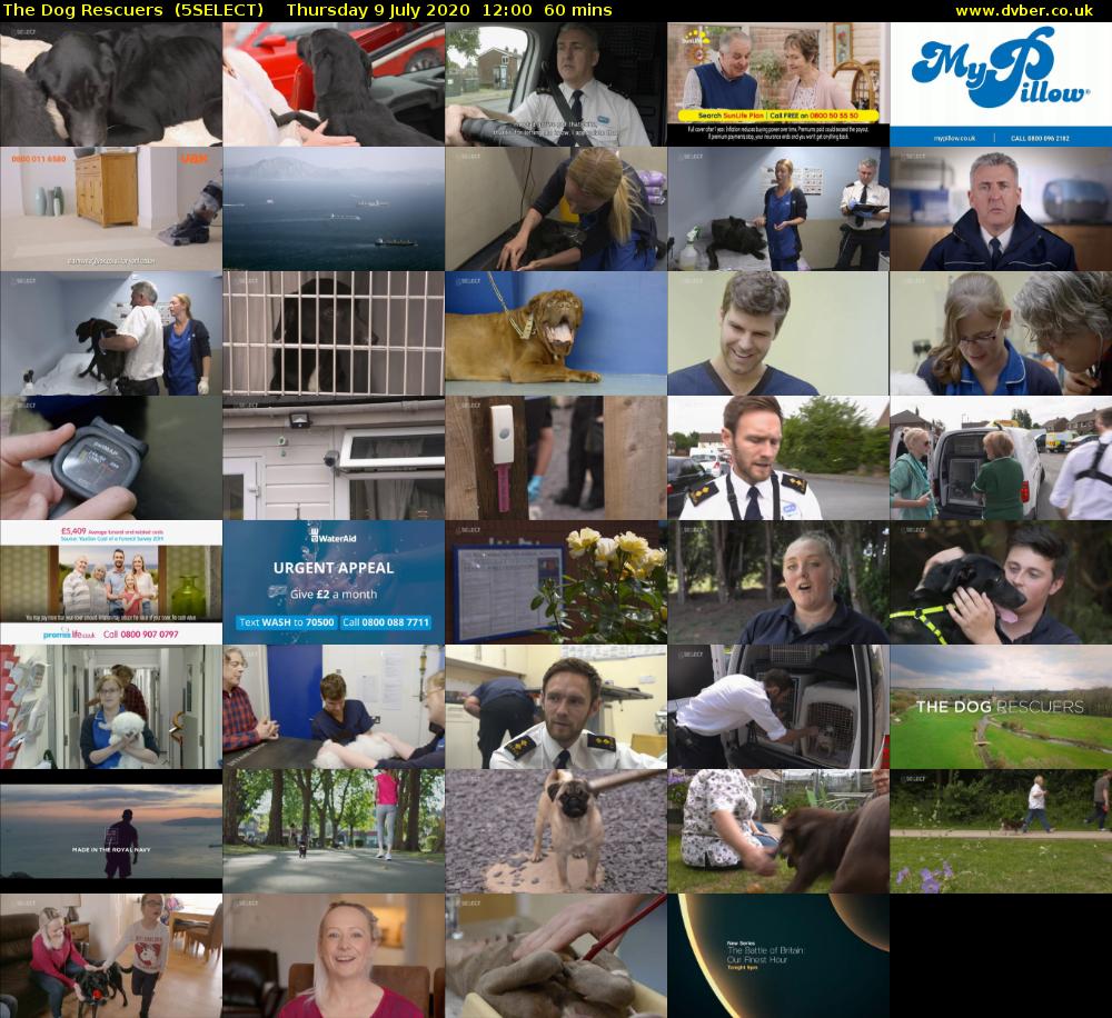 The Dog Rescuers  (5SELECT) Thursday 9 July 2020 12:00 - 13:00