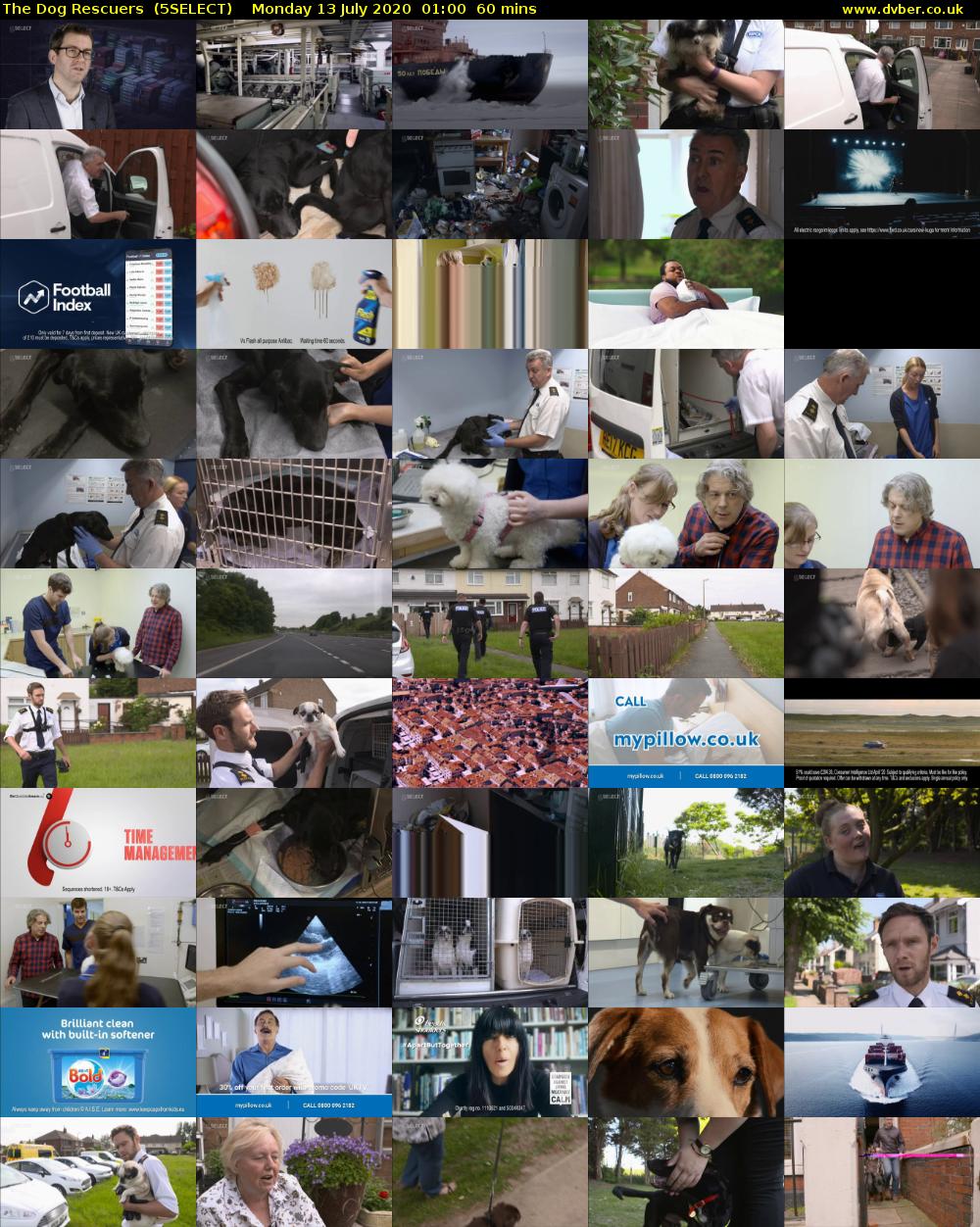 The Dog Rescuers  (5SELECT) Monday 13 July 2020 01:00 - 02:00