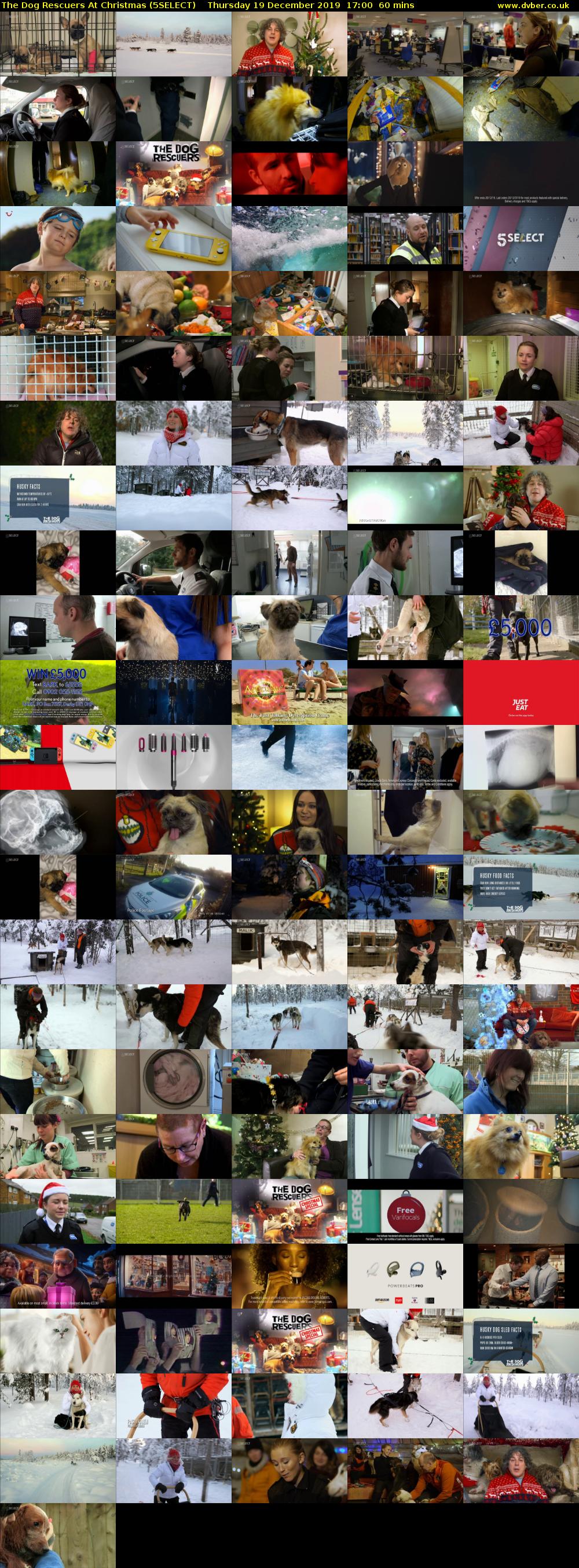 The Dog Rescuers At Christmas (5SELECT) Thursday 19 December 2019 17:00 - 18:00