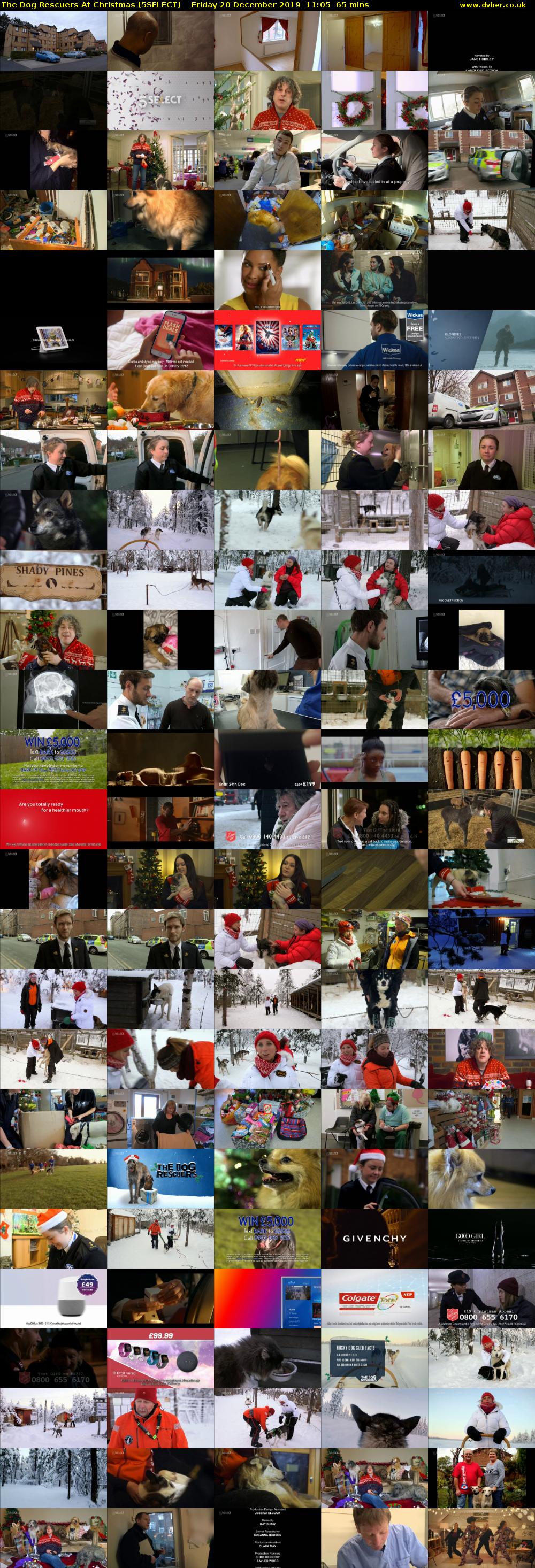 The Dog Rescuers At Christmas (5SELECT) Friday 20 December 2019 11:05 - 12:10