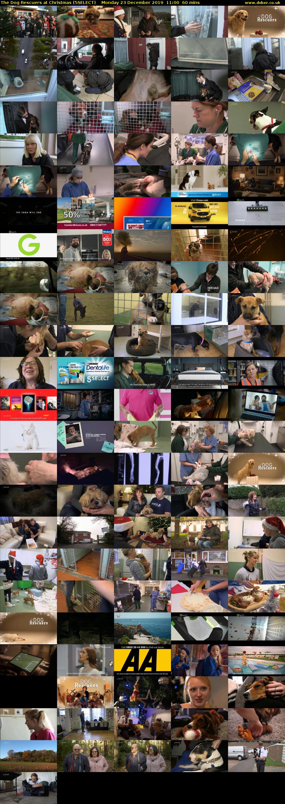 The Dog Rescuers At Christmas (5SELECT) Monday 23 December 2019 11:00 - 12:00