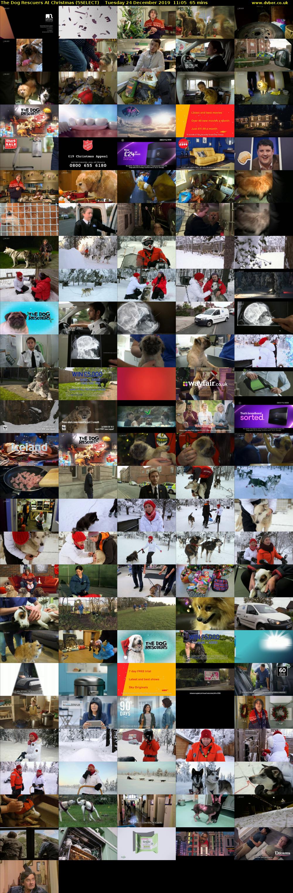 The Dog Rescuers At Christmas (5SELECT) Tuesday 24 December 2019 11:05 - 12:10