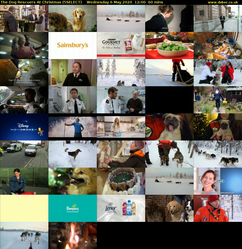 The Dog Rescuers At Christmas (5SELECT) Wednesday 6 May 2020 12:00 - 13:00