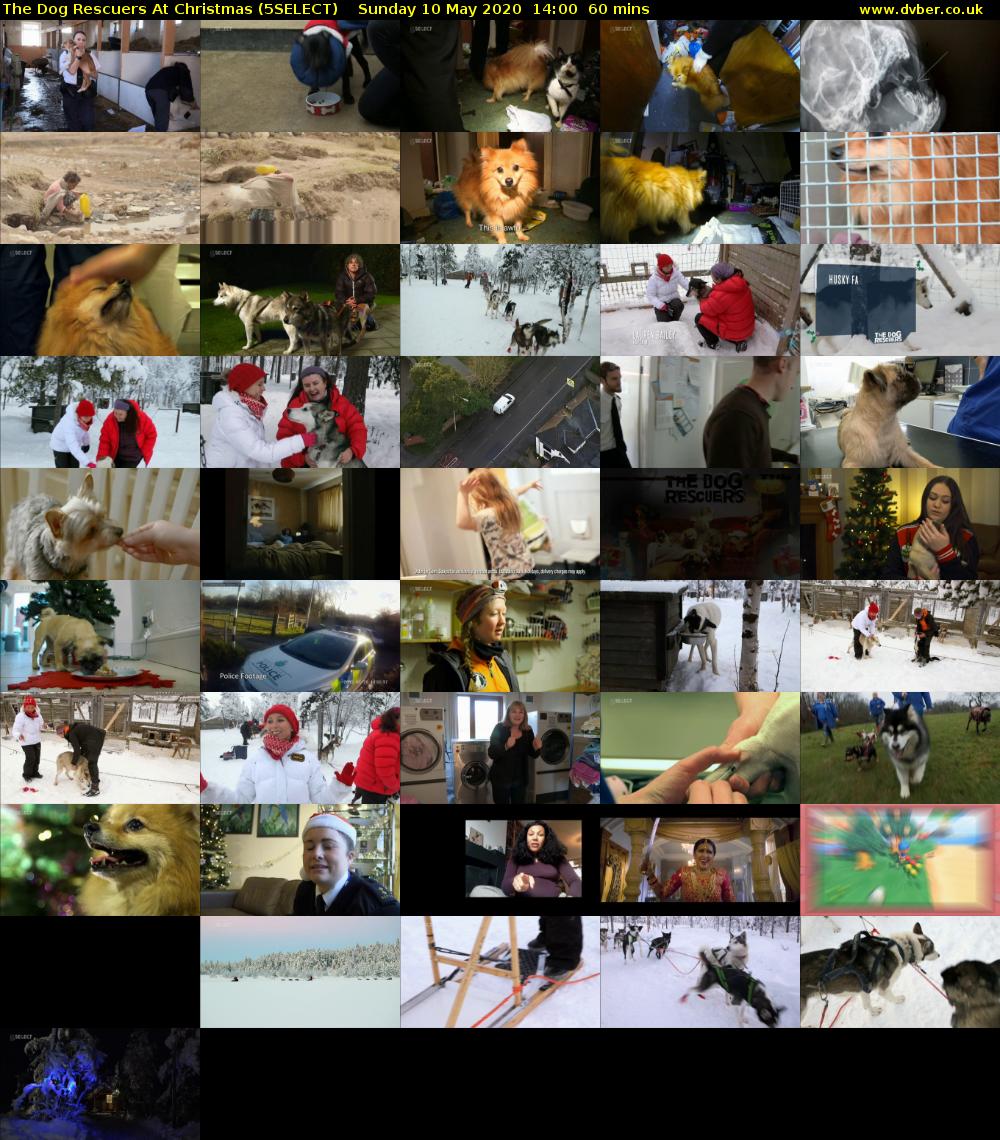 The Dog Rescuers At Christmas (5SELECT) Sunday 10 May 2020 14:00 - 15:00