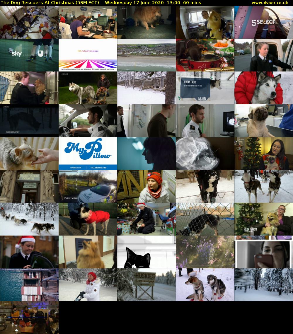 The Dog Rescuers At Christmas (5SELECT) Wednesday 17 June 2020 13:00 - 14:00