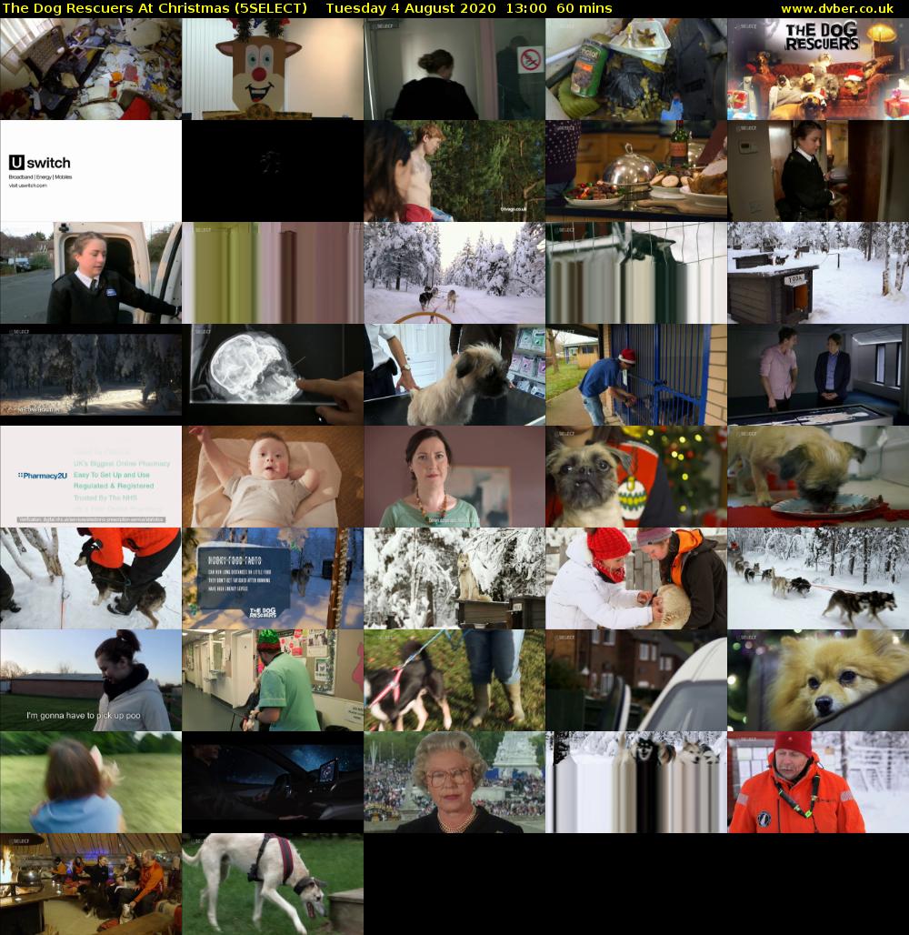 The Dog Rescuers At Christmas (5SELECT) Tuesday 4 August 2020 13:00 - 14:00