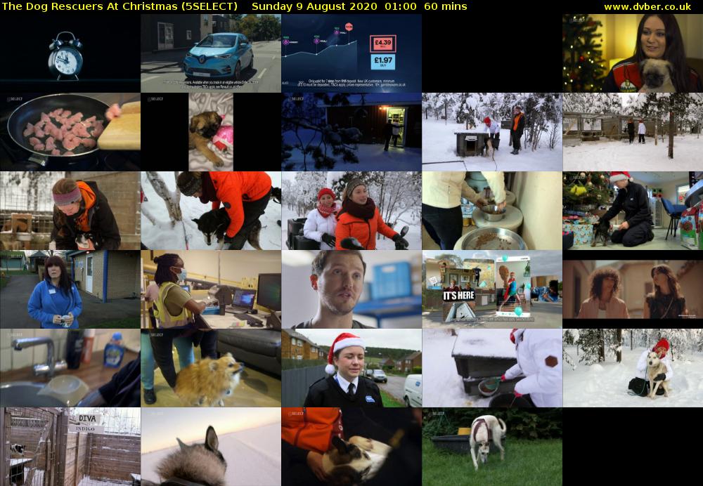 The Dog Rescuers At Christmas (5SELECT) Sunday 9 August 2020 01:00 - 02:00