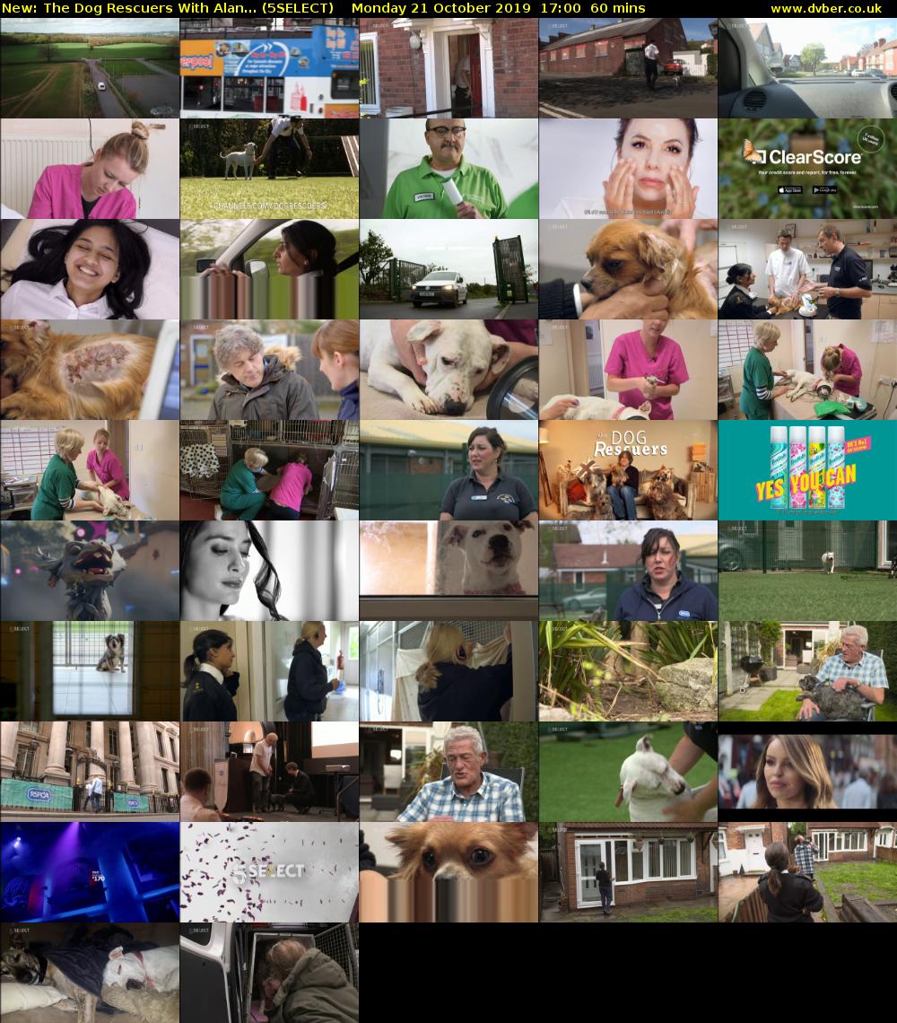 The Dog Rescuers With Alan... (5SELECT) Monday 21 October 2019 17:00 - 18:00