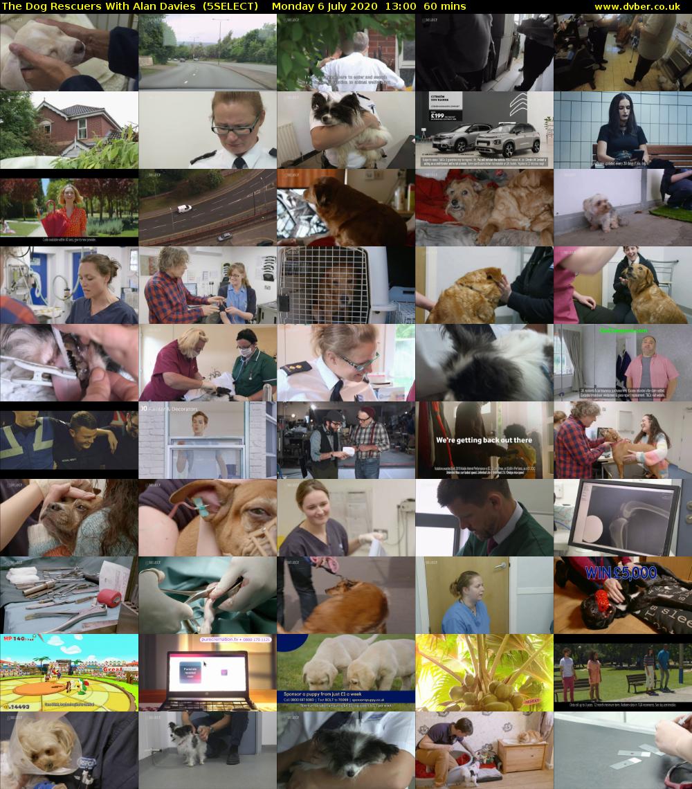 The Dog Rescuers With Alan Davies  (5SELECT) Monday 6 July 2020 13:00 - 14:00