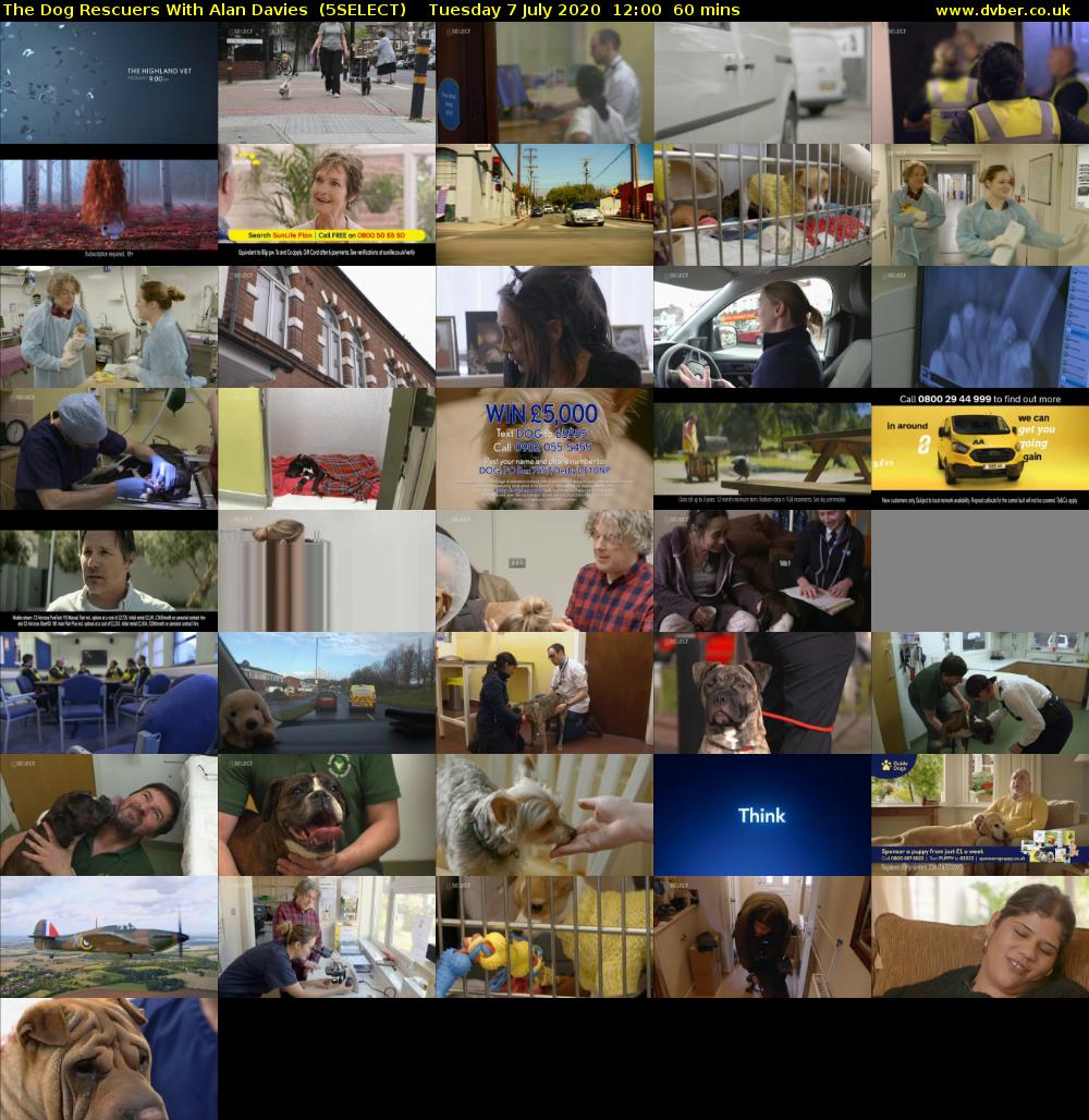 The Dog Rescuers With Alan Davies  (5SELECT) Tuesday 7 July 2020 12:00 - 13:00