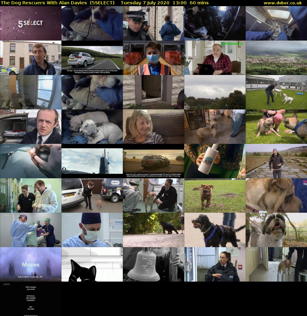 The Dog Rescuers With Alan Davies  (5SELECT) Tuesday 7 July 2020 13:00 - 14:00