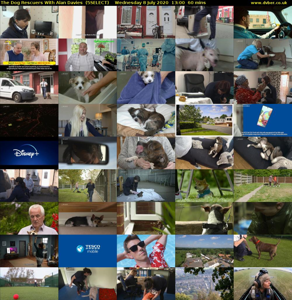 The Dog Rescuers With Alan Davies  (5SELECT) Wednesday 8 July 2020 13:00 - 14:00