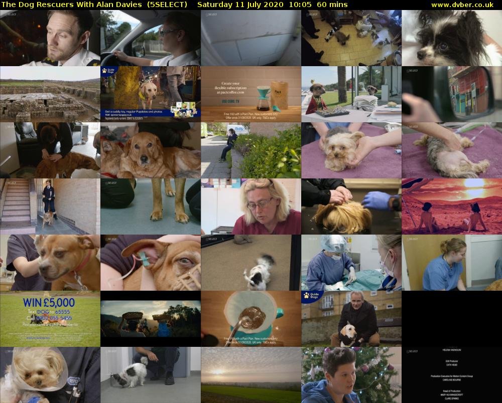 The Dog Rescuers With Alan Davies  (5SELECT) Saturday 11 July 2020 10:05 - 11:05