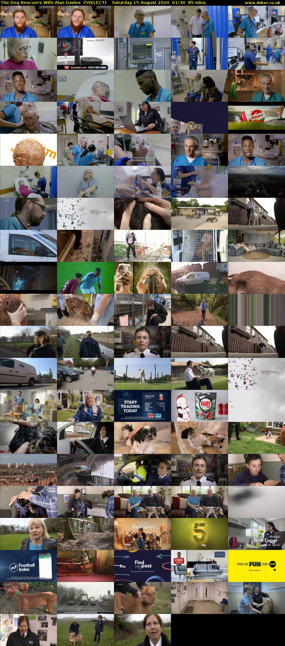 The Dog Rescuers With Alan Davies  (5SELECT) Saturday 15 August 2020 01:30 - 02:55