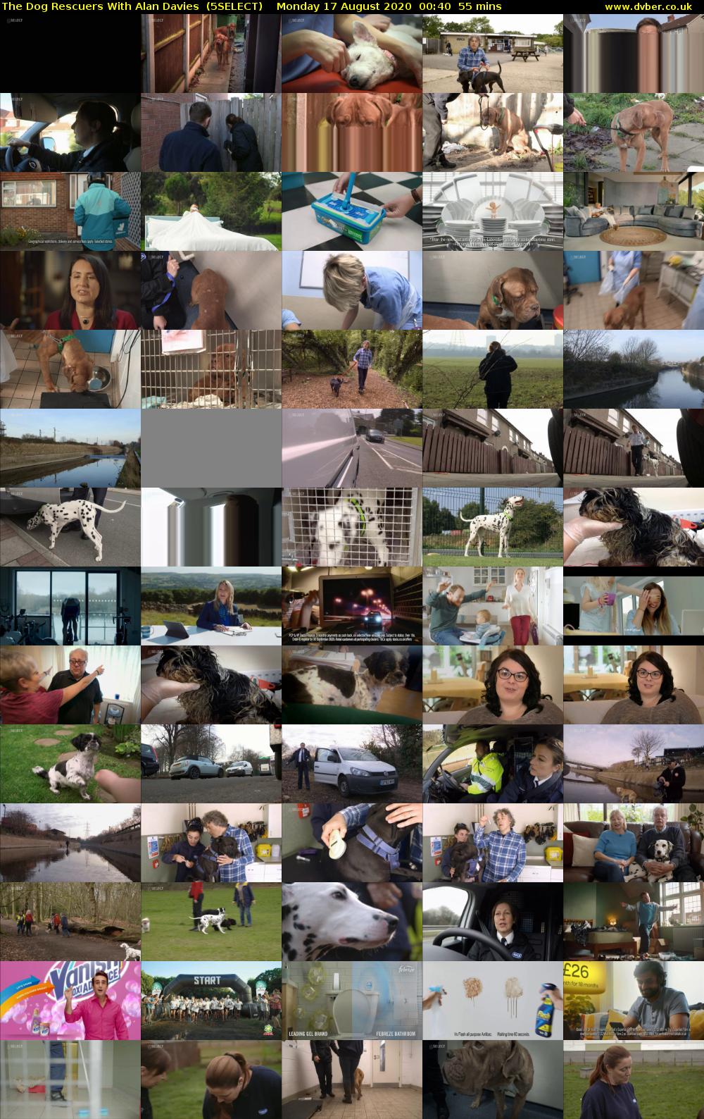 The Dog Rescuers With Alan Davies  (5SELECT) Monday 17 August 2020 00:40 - 01:35