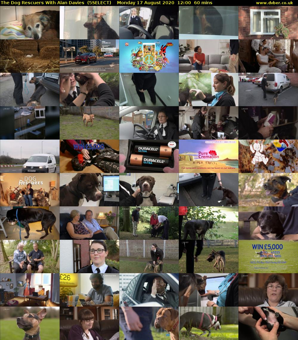The Dog Rescuers With Alan Davies  (5SELECT) Monday 17 August 2020 12:00 - 13:00