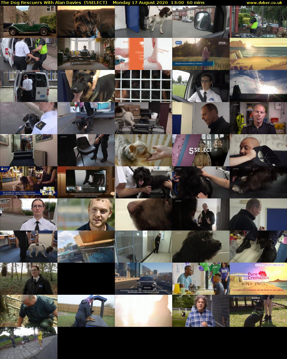 The Dog Rescuers With Alan Davies  (5SELECT) Monday 17 August 2020 13:00 - 14:00
