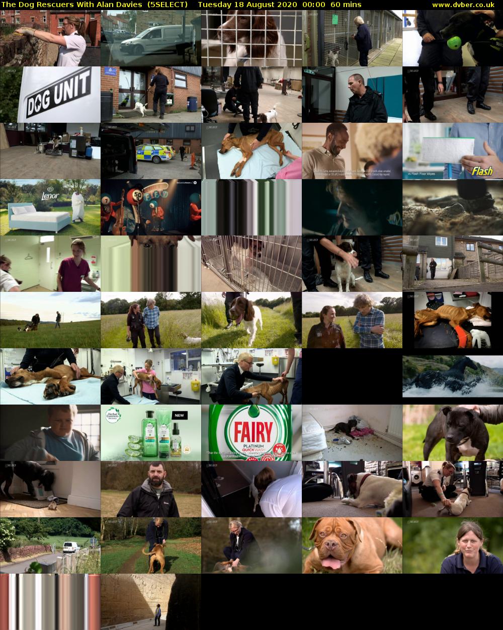 The Dog Rescuers With Alan Davies  (5SELECT) Tuesday 18 August 2020 00:00 - 01:00