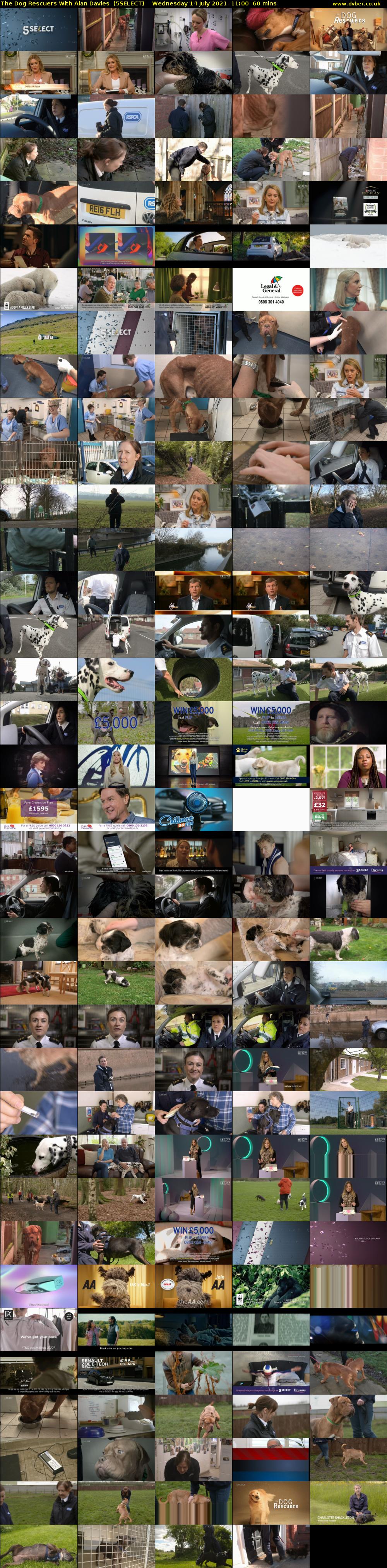 The Dog Rescuers With Alan Davies  (5SELECT) Wednesday 14 July 2021 11:00 - 12:00