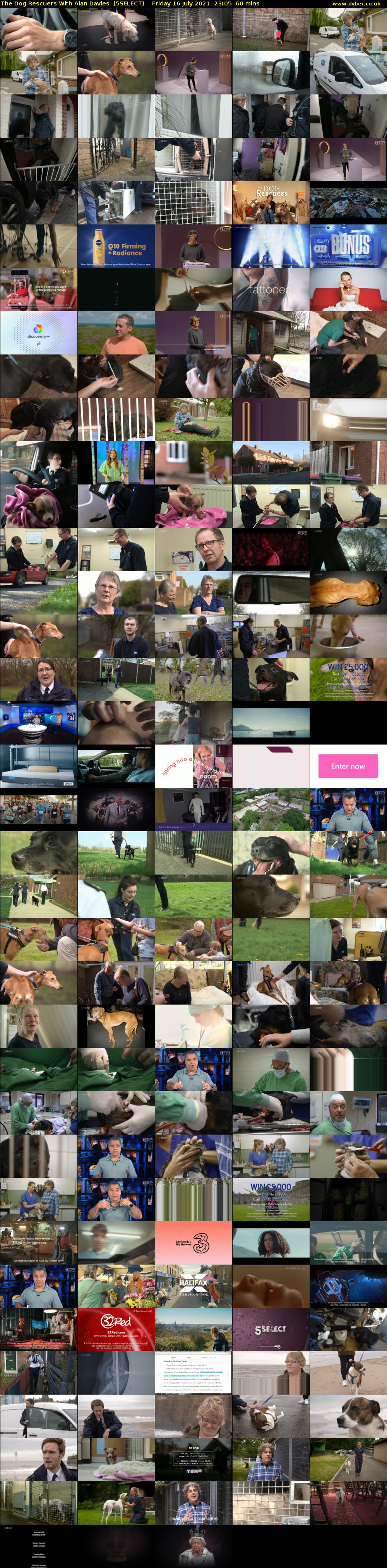 The Dog Rescuers With Alan Davies  (5SELECT) Friday 16 July 2021 23:05 - 00:05