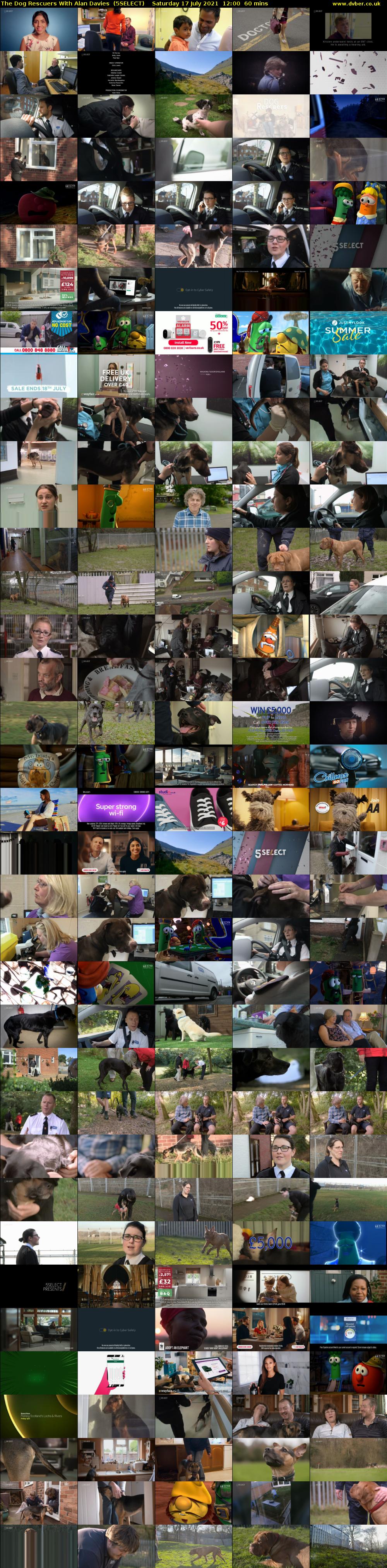 The Dog Rescuers With Alan Davies  (5SELECT) Saturday 17 July 2021 12:00 - 13:00