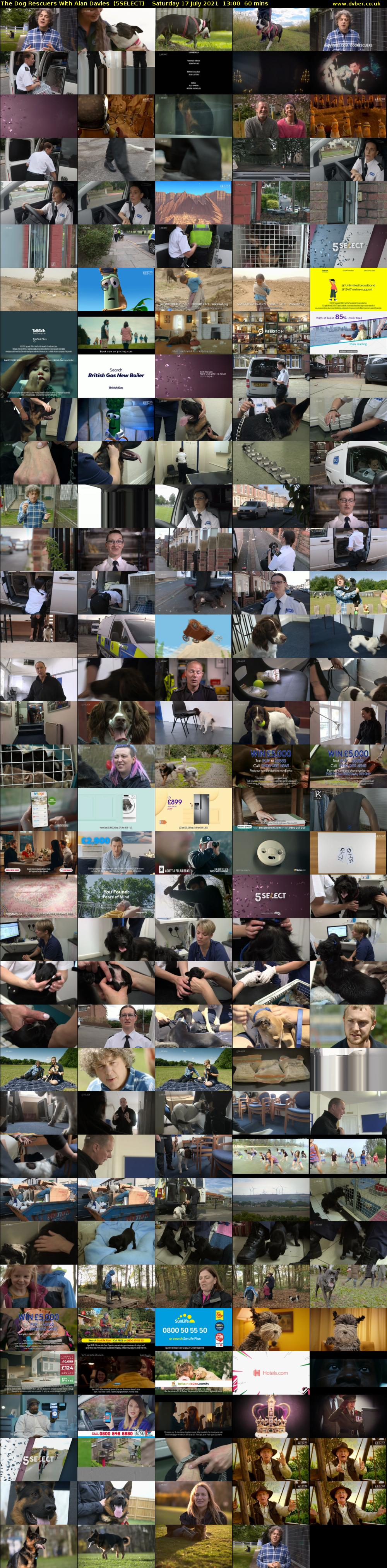 The Dog Rescuers With Alan Davies  (5SELECT) Saturday 17 July 2021 13:00 - 14:00