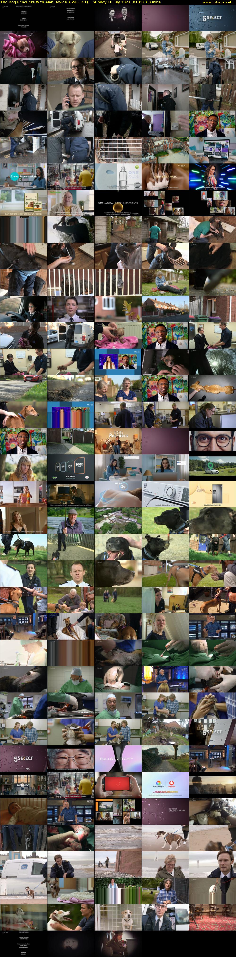 The Dog Rescuers With Alan Davies  (5SELECT) Sunday 18 July 2021 01:00 - 02:00