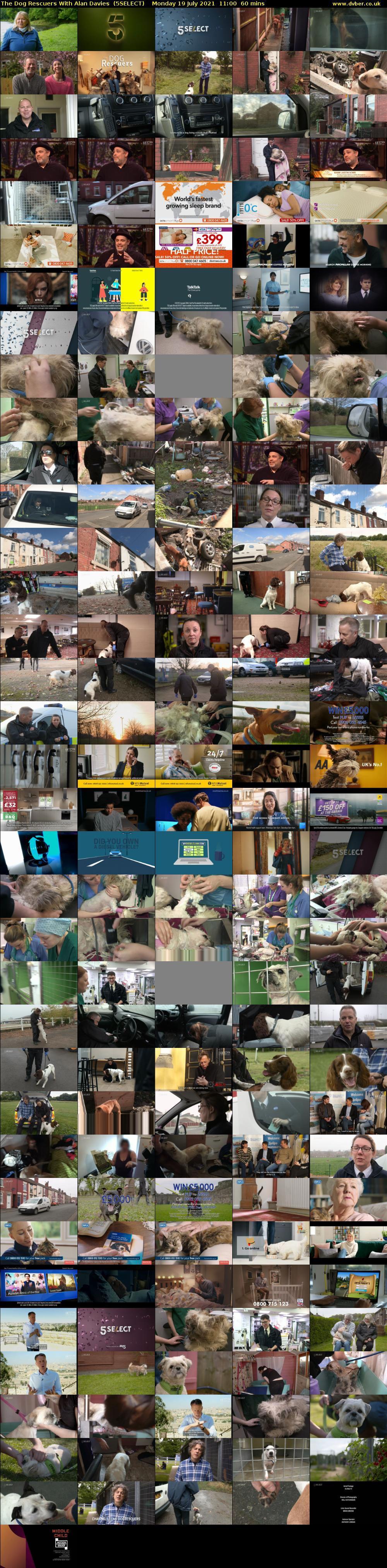 The Dog Rescuers With Alan Davies  (5SELECT) Monday 19 July 2021 11:00 - 12:00