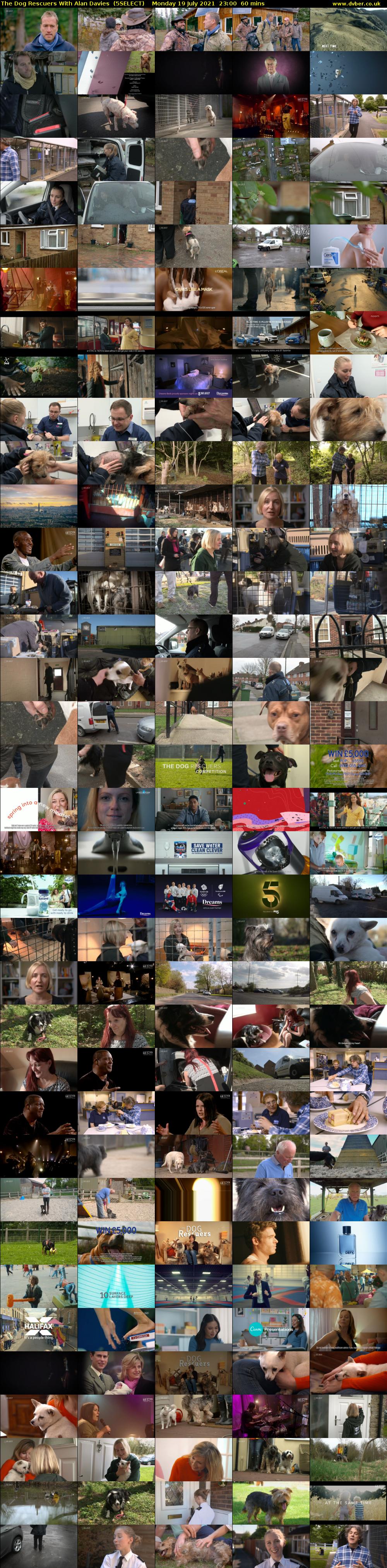 The Dog Rescuers With Alan Davies  (5SELECT) Monday 19 July 2021 23:00 - 00:00
