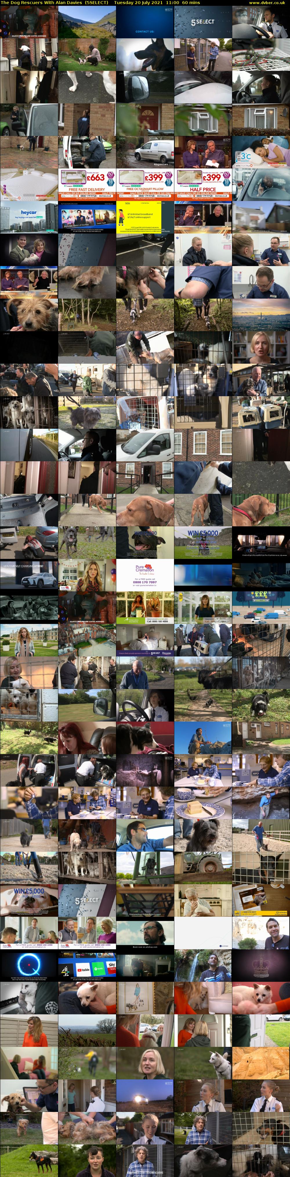 The Dog Rescuers With Alan Davies  (5SELECT) Tuesday 20 July 2021 11:00 - 12:00