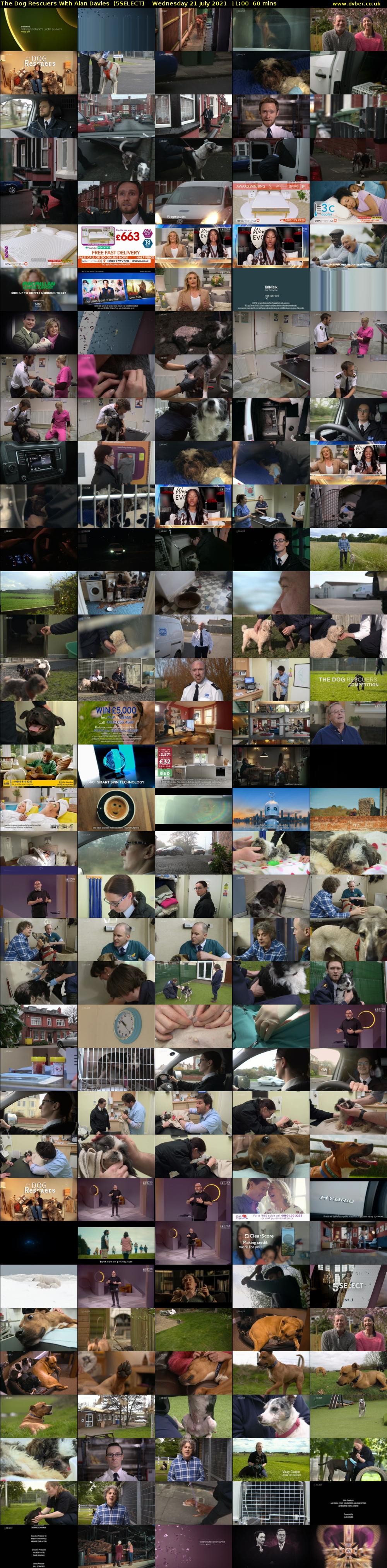 The Dog Rescuers With Alan Davies  (5SELECT) Wednesday 21 July 2021 11:00 - 12:00