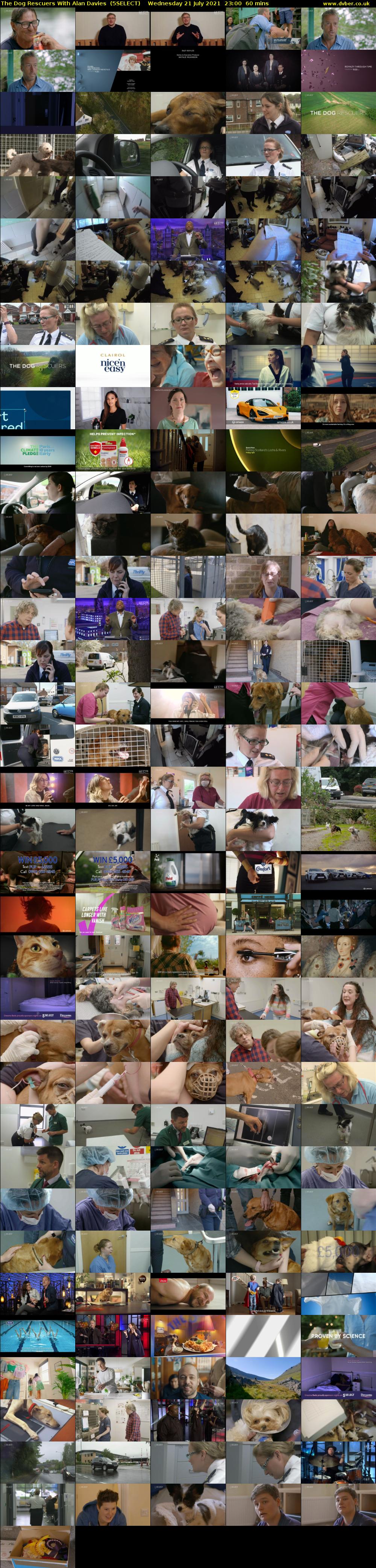 The Dog Rescuers With Alan Davies  (5SELECT) Wednesday 21 July 2021 23:00 - 00:00