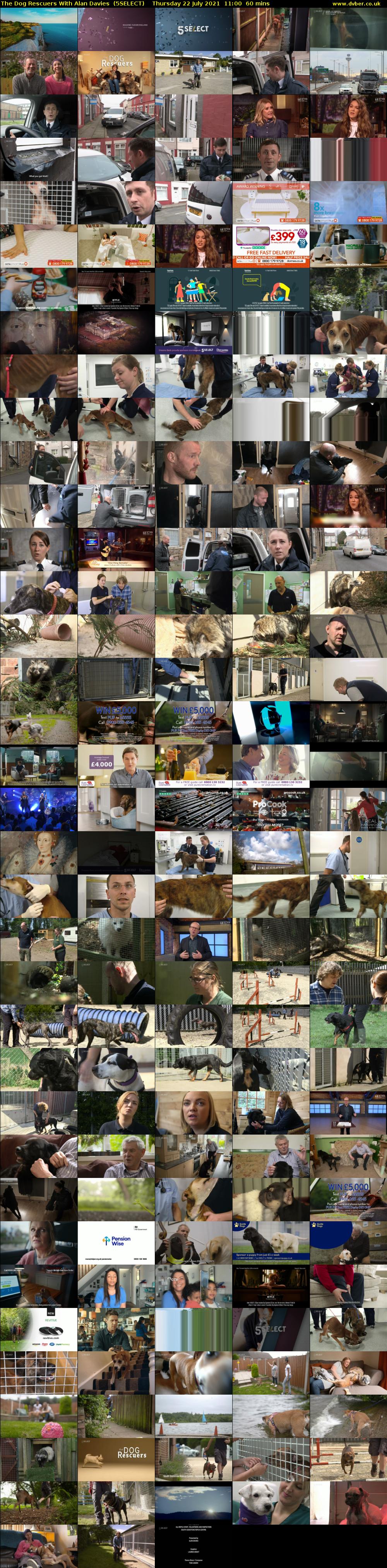 The Dog Rescuers With Alan Davies  (5SELECT) Thursday 22 July 2021 11:00 - 12:00