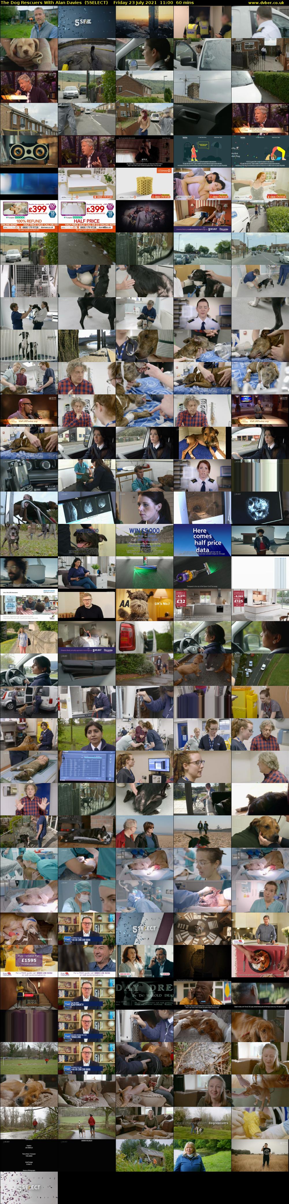 The Dog Rescuers With Alan Davies  (5SELECT) Friday 23 July 2021 11:00 - 12:00