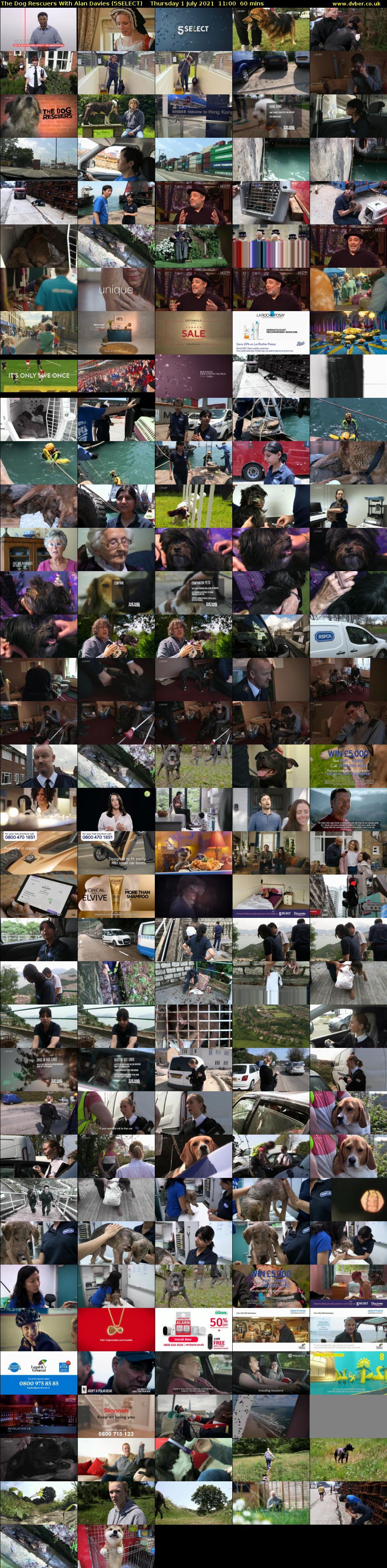 The Dog Rescuers With Alan Davies (5SELECT) Thursday 1 July 2021 11:00 - 12:00
