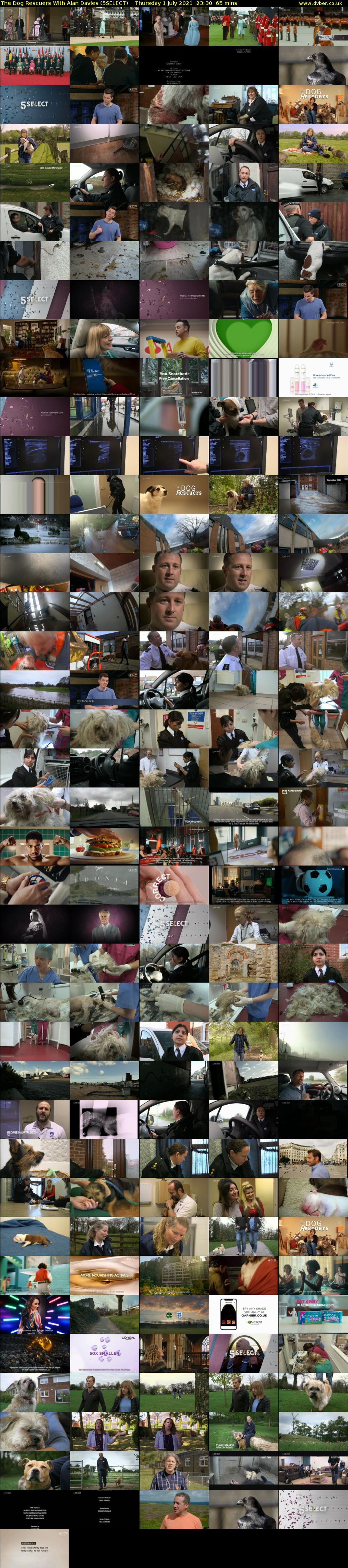 The Dog Rescuers With Alan Davies (5SELECT) Thursday 1 July 2021 23:30 - 00:35