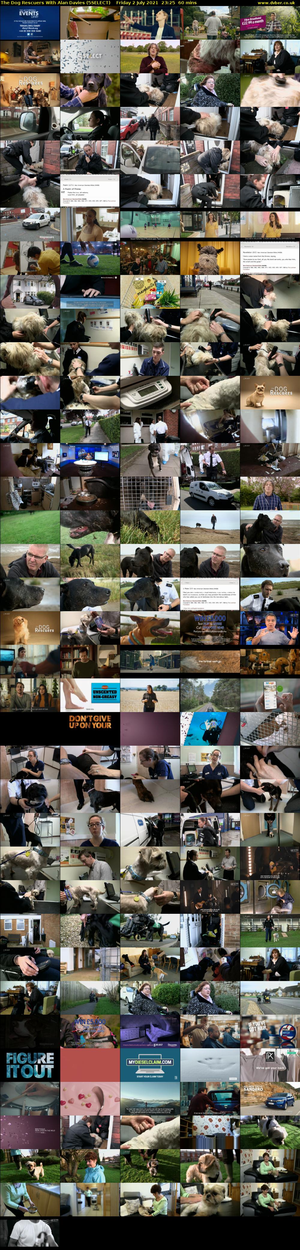 The Dog Rescuers With Alan Davies (5SELECT) Friday 2 July 2021 23:25 - 00:25