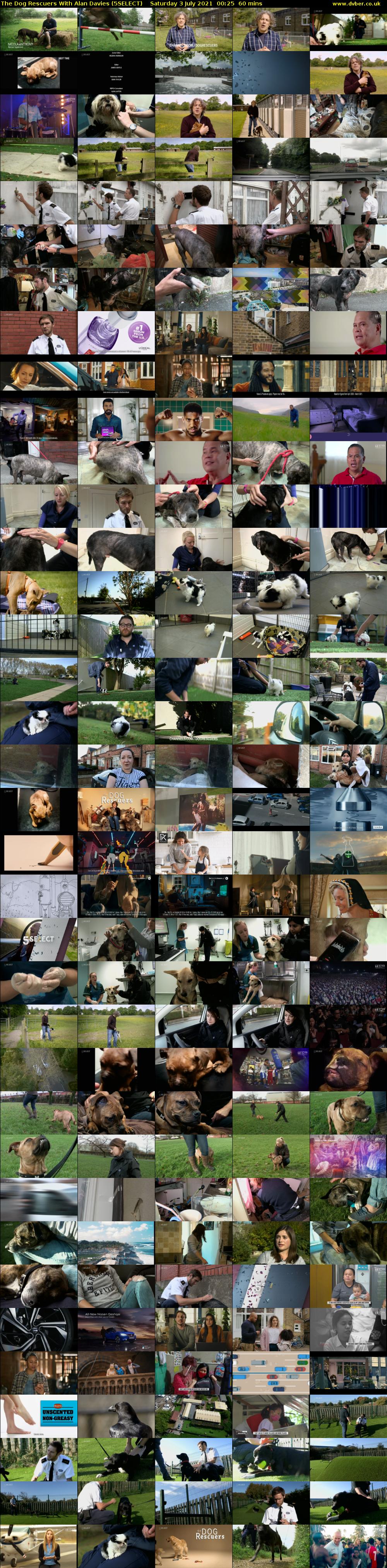 The Dog Rescuers With Alan Davies (5SELECT) Saturday 3 July 2021 00:25 - 01:25