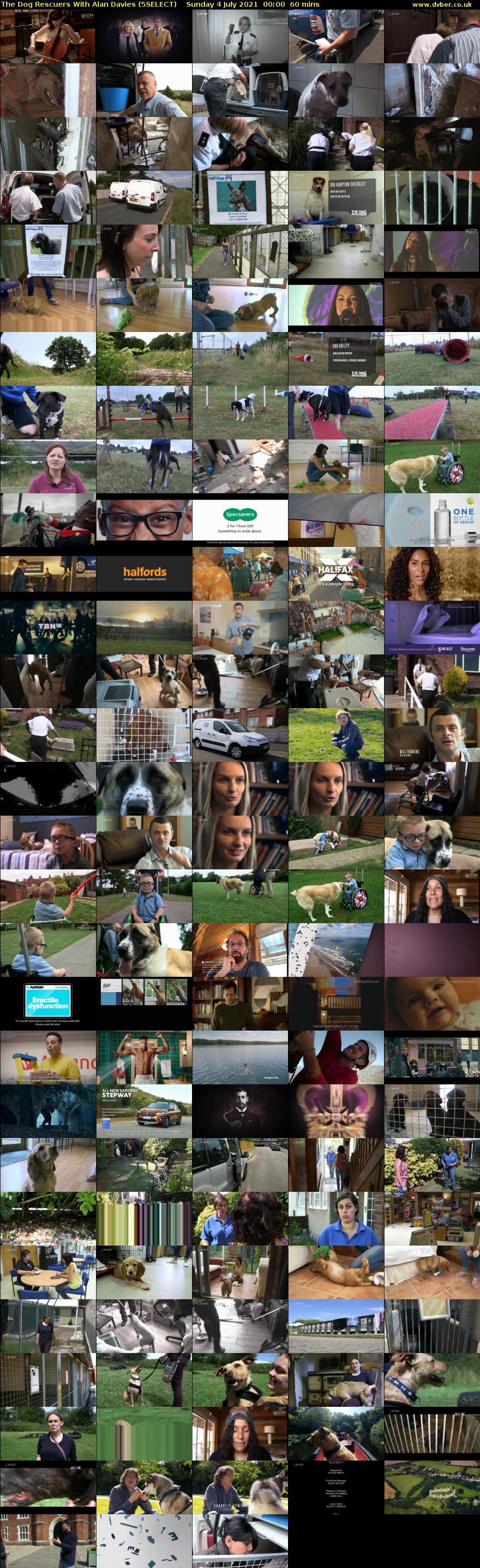 The Dog Rescuers With Alan Davies (5SELECT) Sunday 4 July 2021 00:00 - 01:00