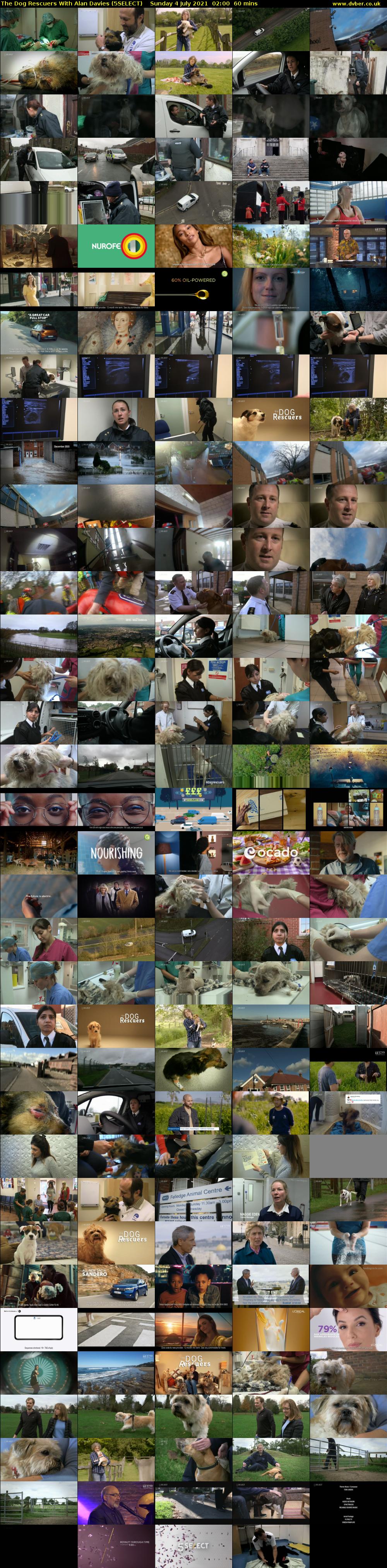 The Dog Rescuers With Alan Davies (5SELECT) Sunday 4 July 2021 02:00 - 03:00