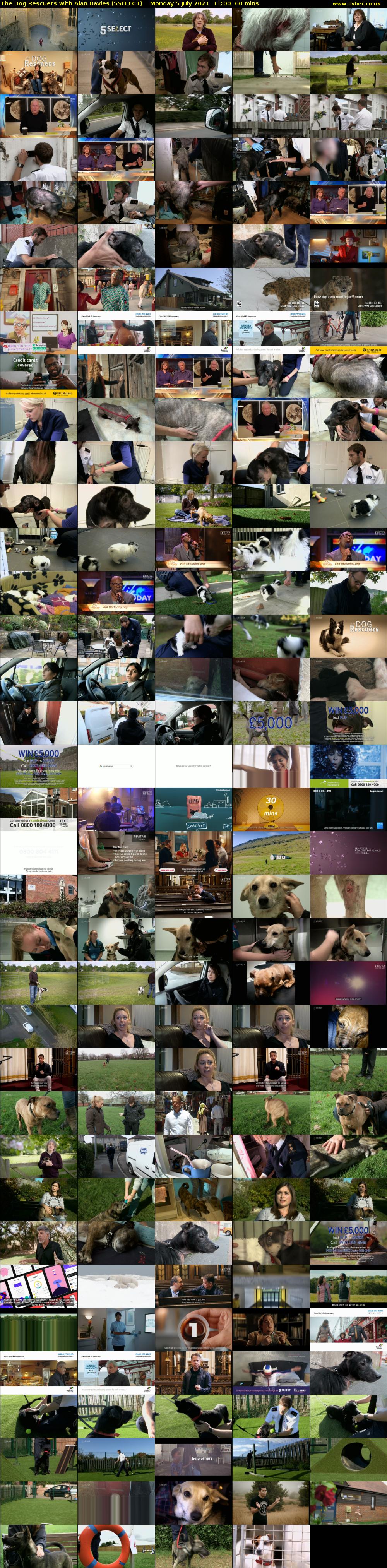 The Dog Rescuers With Alan Davies (5SELECT) Monday 5 July 2021 11:00 - 12:00