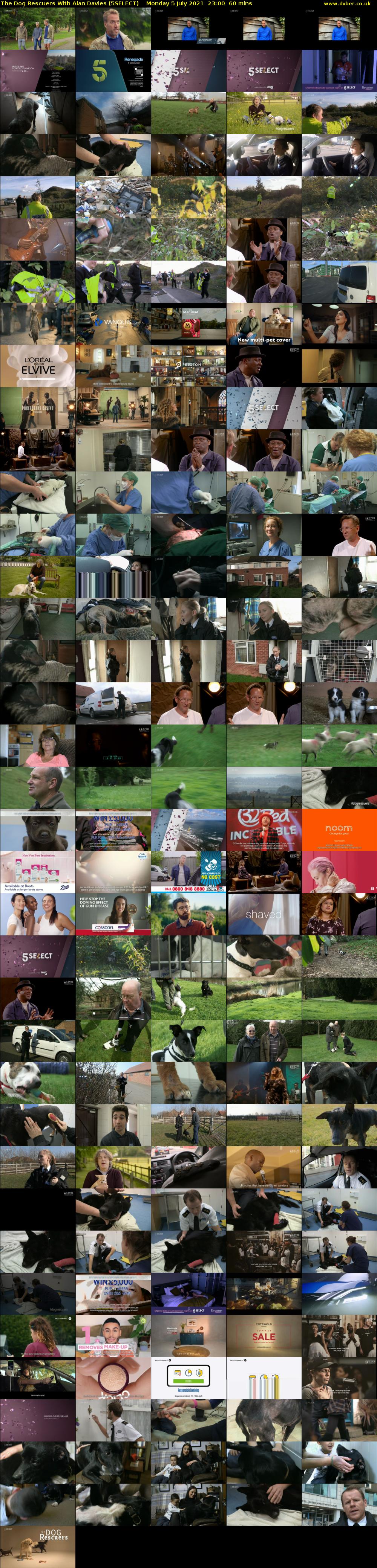 The Dog Rescuers With Alan Davies (5SELECT) Monday 5 July 2021 23:00 - 00:00